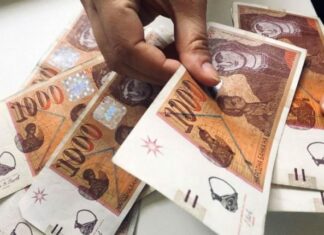 LSM: Të rritet paga minimale, ose punëtorët në grevë