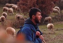 Bariu 29-vjeçar nga Kukësi që e “braktisi” familjen për të punuar në një fermë delesh