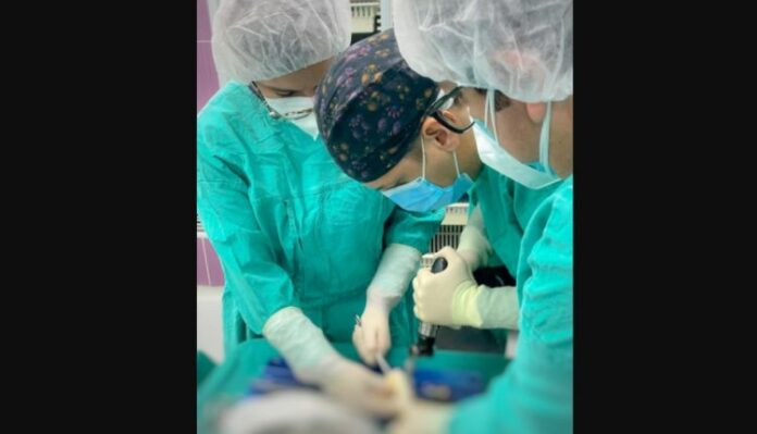 Screenshot-2022-01-28-142349-750x430