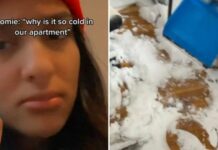 E harroi hapur dritaren e dhomës në konvikt, studentja tregon pasojat