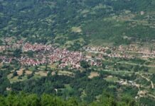 Ngjarje Tragjike në Sellcë: Djali ia pret kokën nënës