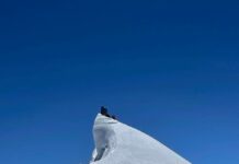 Profesori Kedev, ngjitet në majat e Nepalit